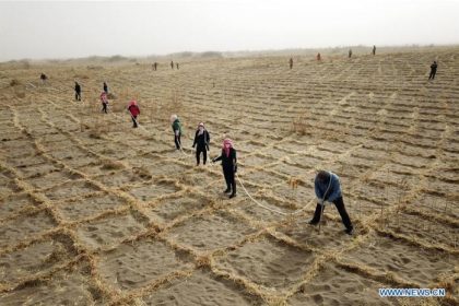 China plant trees in desert