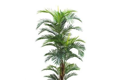 Palm tree potted plant