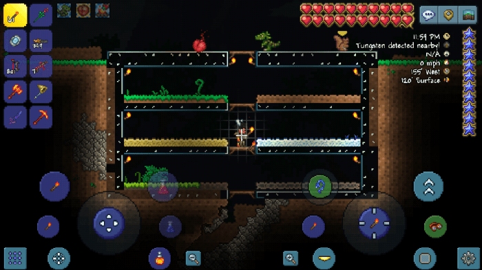 Terraria where to plant seeds