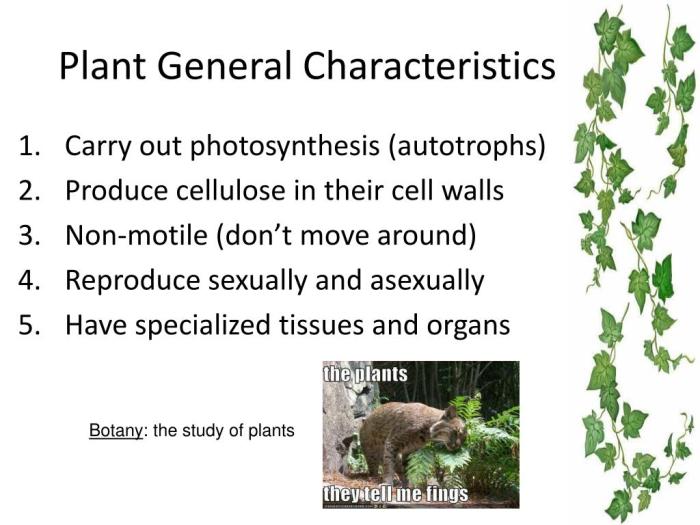 Plant and seed traits